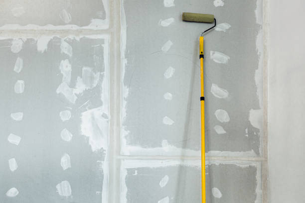 Best Crawl Space Mold Remediation  in South Patrick Shores, FL