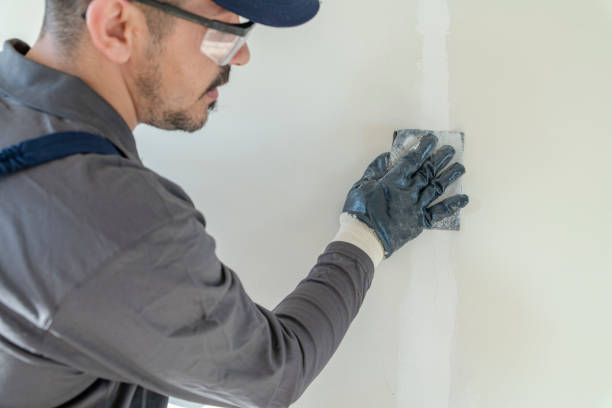 Best Airborne Mold Testing  in South Patrick Shores, FL